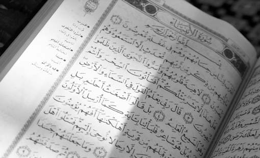 حاجة البشر إلى الوحي والنبوّة